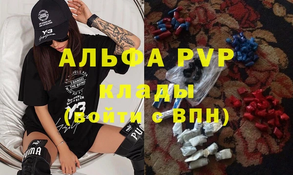 хмурый Кодинск