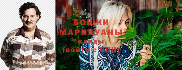 хмурый Кодинск