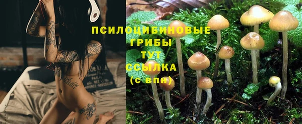 хмурый Кодинск