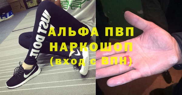 хмурый Кодинск