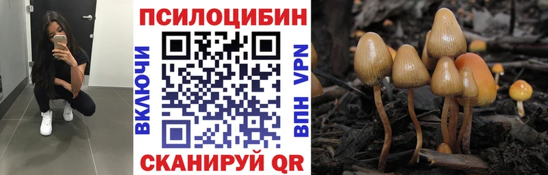Купить  Гаврилов Посад  Галлюциногенные грибы Cubensis 
